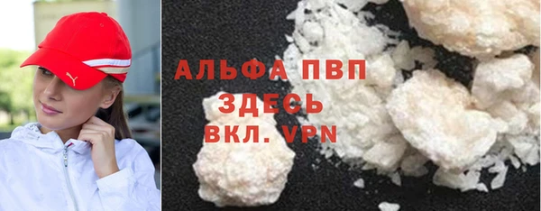 PSILOCYBIN Новозыбков