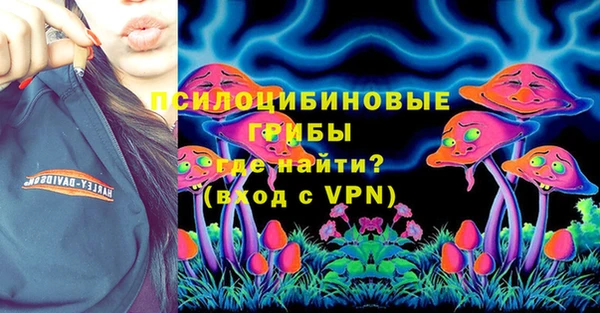 PSILOCYBIN Новозыбков
