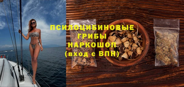 прущие грибы Нягань