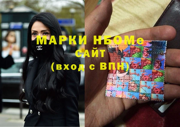 индика Новокубанск