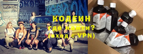 прущие грибы Нягань