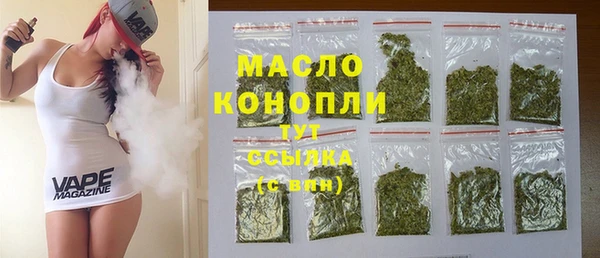 индика Новокубанск