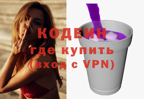 индика Новокубанск