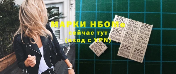 индика Новокубанск