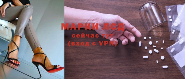 индика Новокубанск