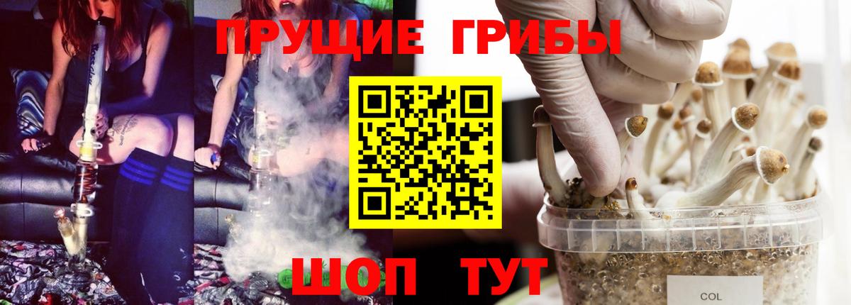 Псилоцибиновые грибы Psilocybine cubensis  Вход с VPN  Удомля  Псилоцибиновые грибы мицелий 